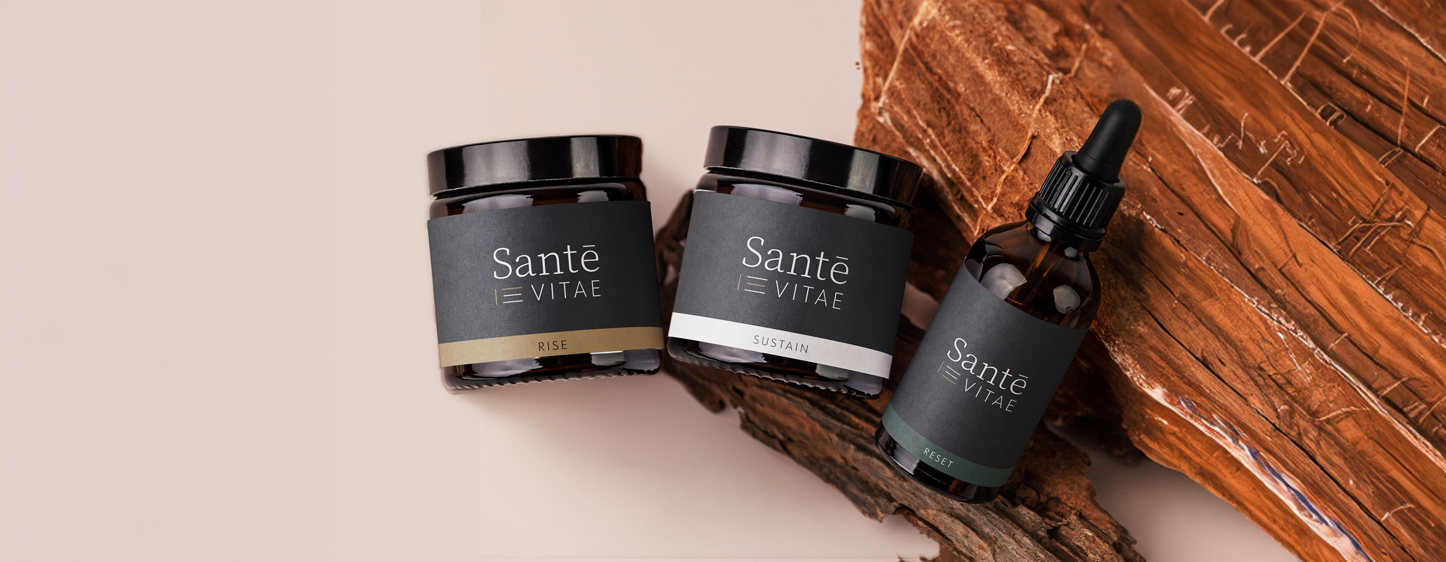 SANT&Eacute; VITAE